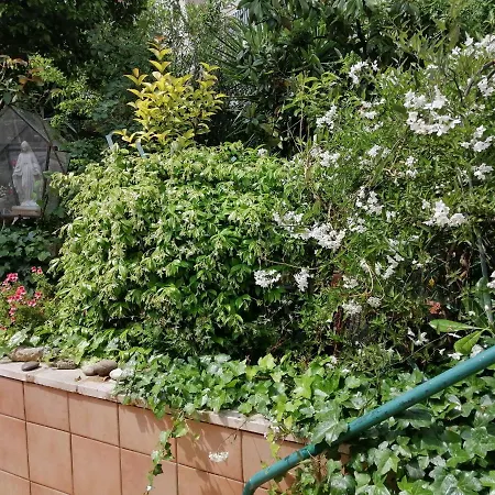 Il Giardino Della Nonna * Alberobello